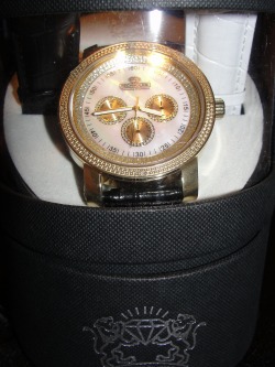technolink diamond watch